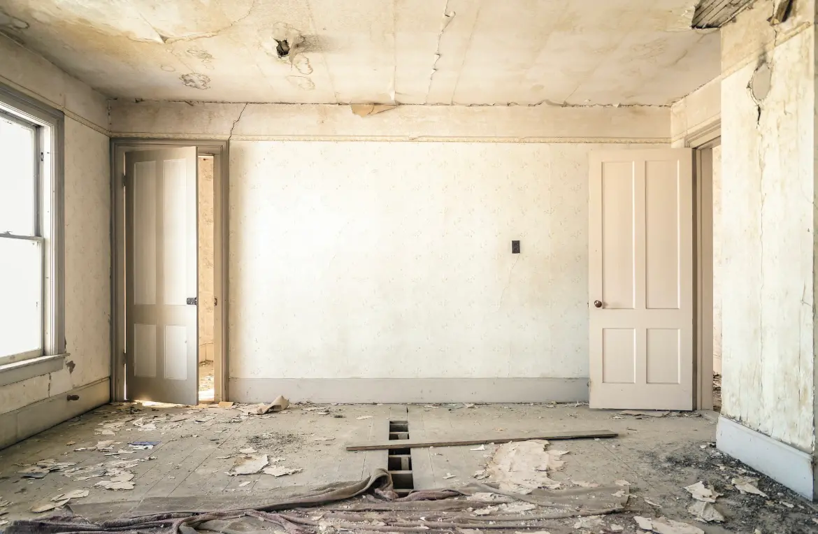 Waste disposal crew managing a cleanout project in Shelburne